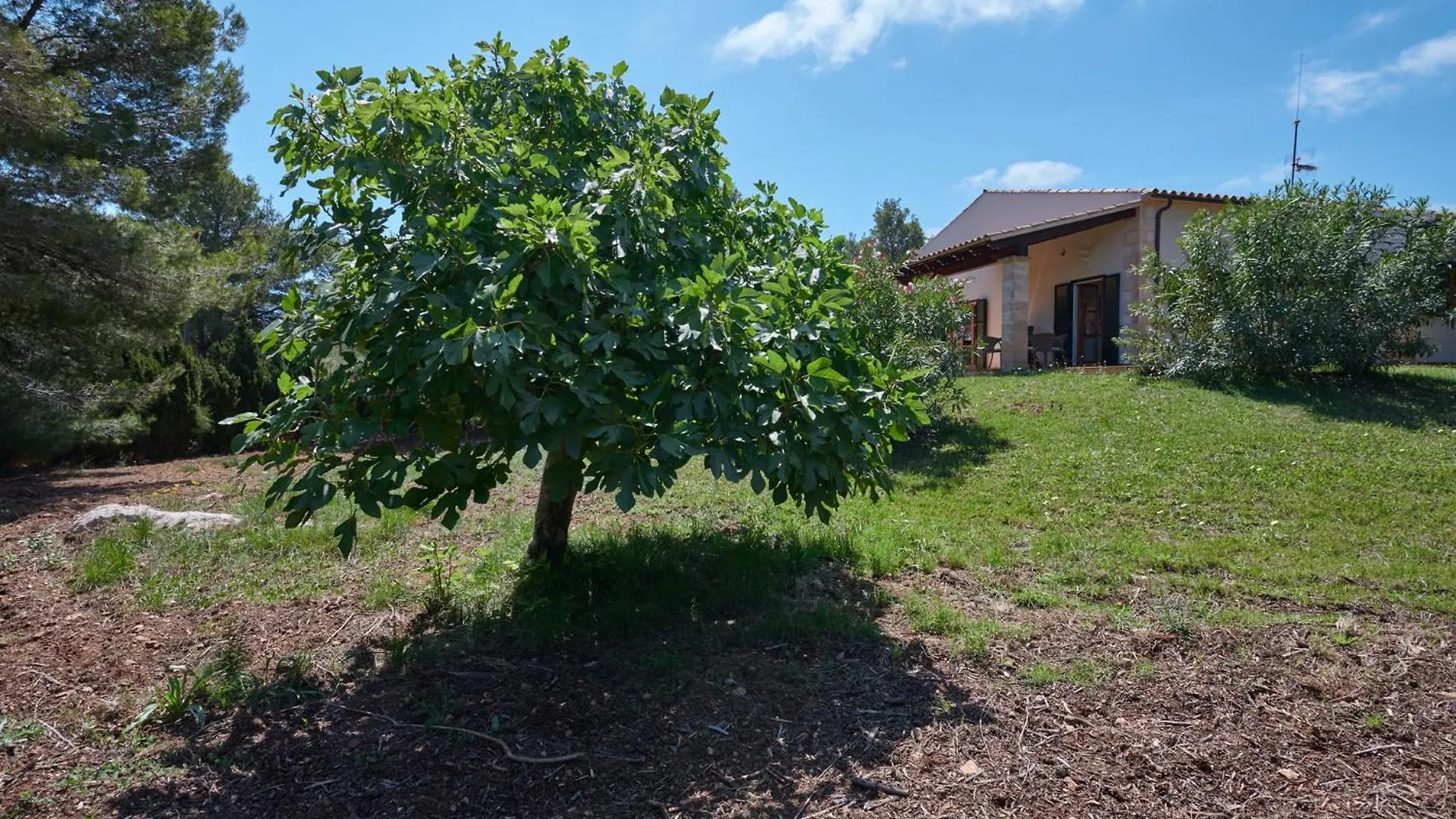 קפדפרה Casa Johann ספרד